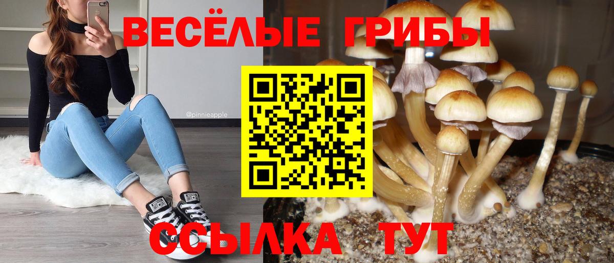 Галлюциногенные грибы MAGIC MUSHROOMS Первоуральск